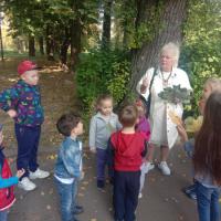 IMG_20200927_121846